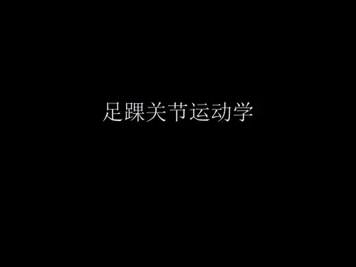 踝足关节运动学