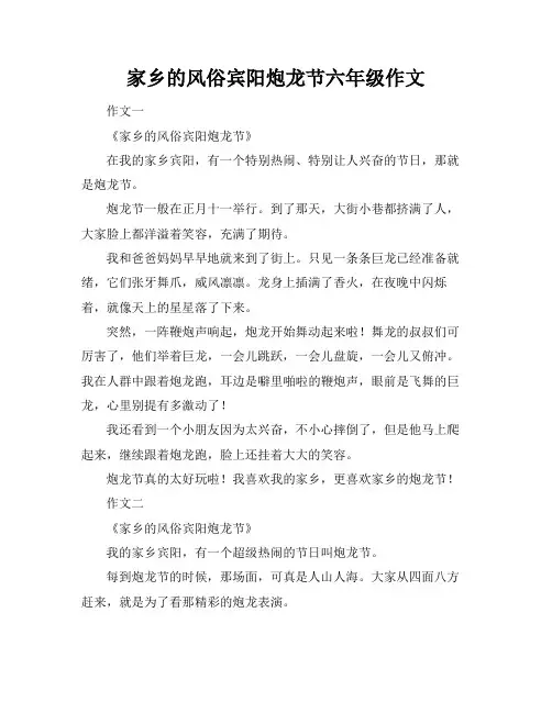 家乡的风俗宾阳炮龙节六年级作文