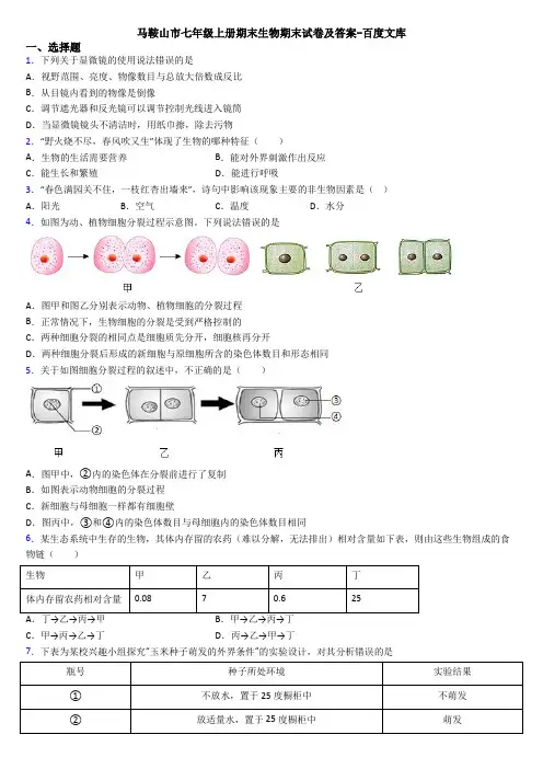 马鞍山市七年级上册期末生物期末试卷及答案-百度文库