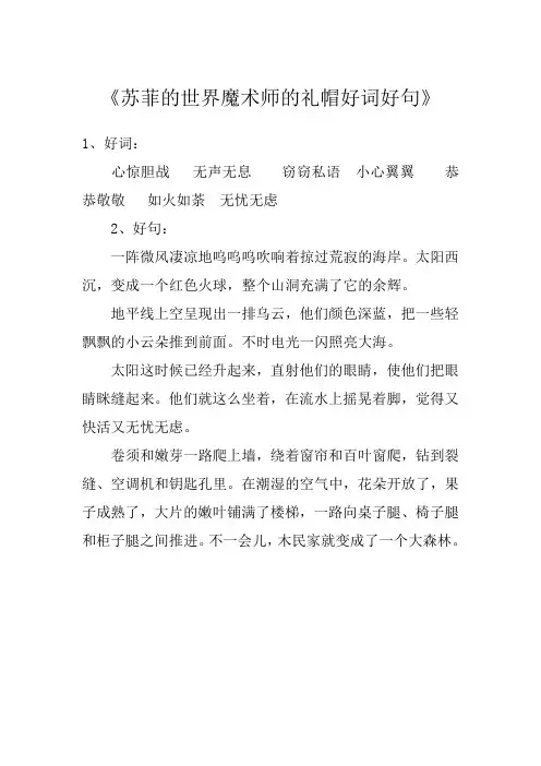 苏菲的世界魔术师的礼帽好词好句