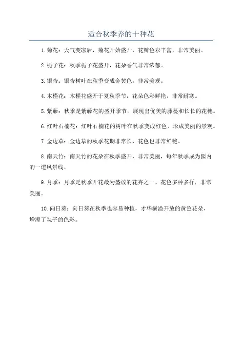 适合秋季养的十种花