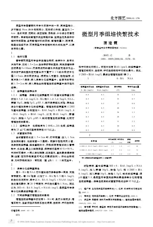 微型月季组培快繁技术