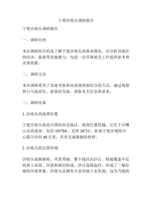 宁夏沙坡头调研报告