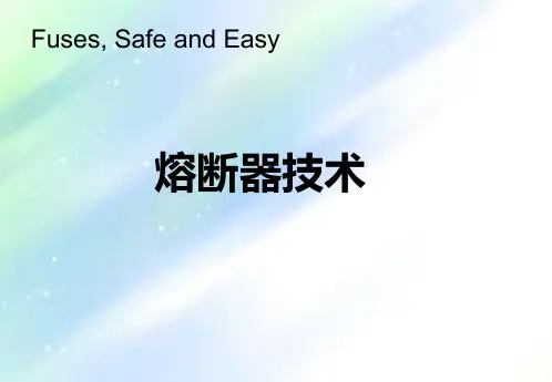 熔断器技术ABB-PPT