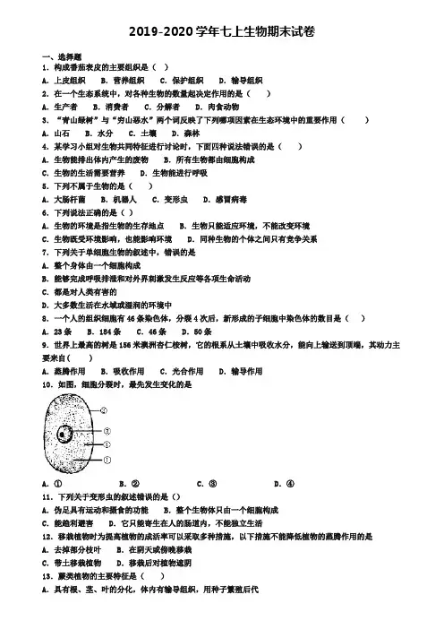 《试卷4份集锦》山东省青岛市2022届生物七年级(上)期末质量跟踪监视模拟试题