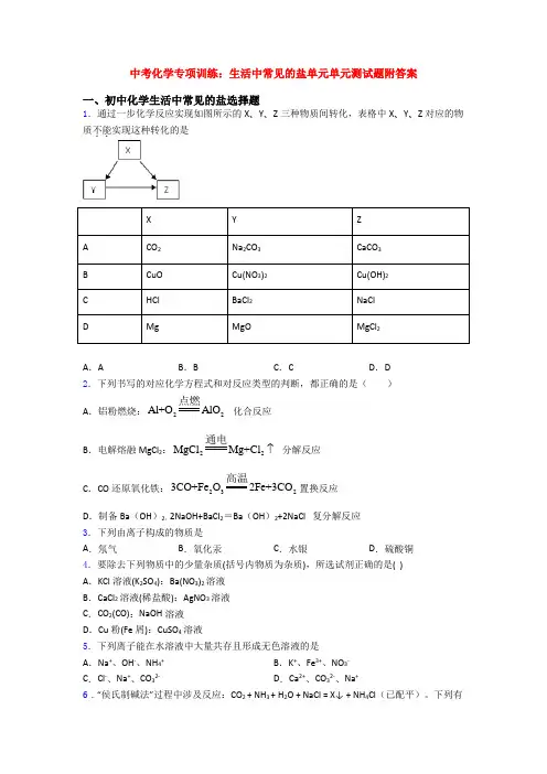 中考化学专项训练：生活中常见的盐单元单元测试题附答案