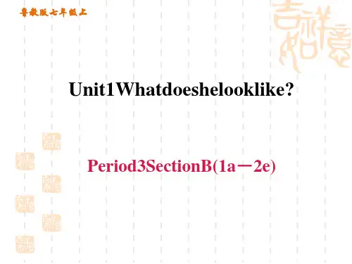 鲁教版五四制七年级上册英语unit 1 What does he Section B (1a-2e)