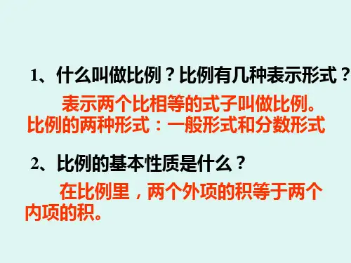 解比例 PPT课件