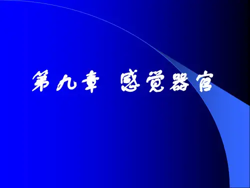 中职《生理学》课件第九章--感觉器官