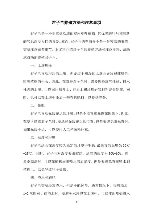 君子兰养殖方法和注意事项