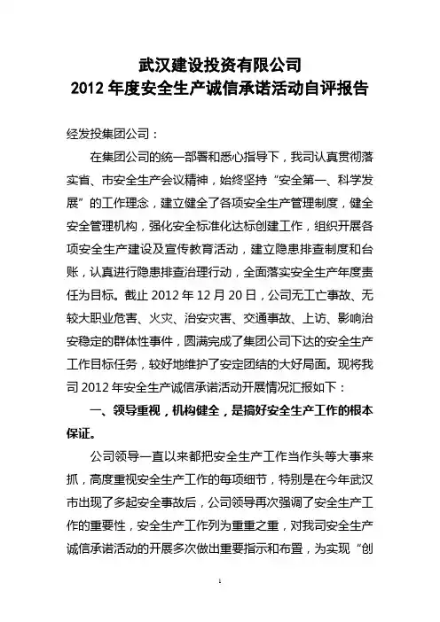 安全生产诚信承诺活动自评报告