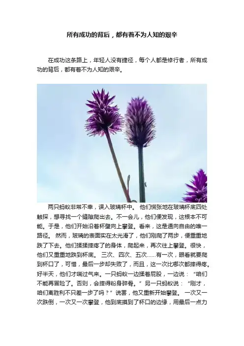 所有成功的背后，都有着不为人知的艰辛