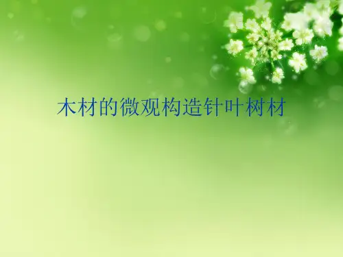木材的微观构造针叶树材优秀课件