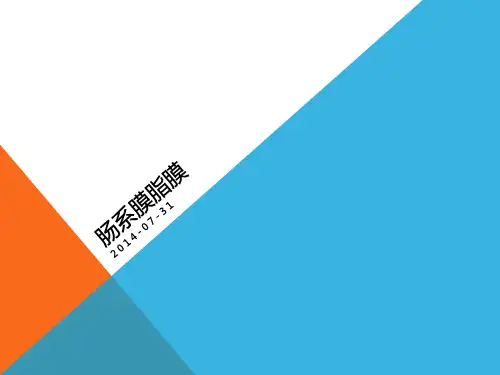 肠系膜脂膜炎