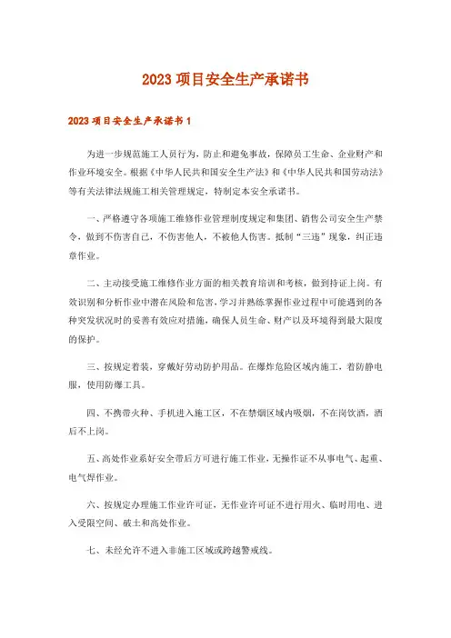 2023项目安全生产承诺书