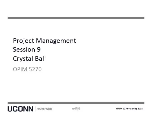 水晶球软件使用Crystal Ball  ppt课件