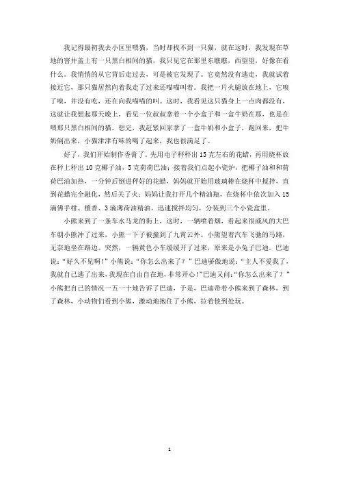 精选小区里的野猫
