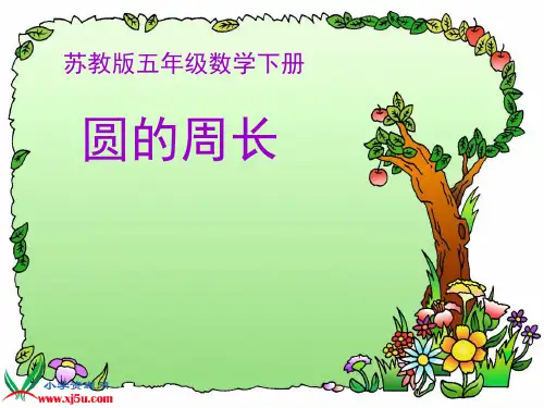 苏教版数学五年级下册《圆的周长》PPT课件三