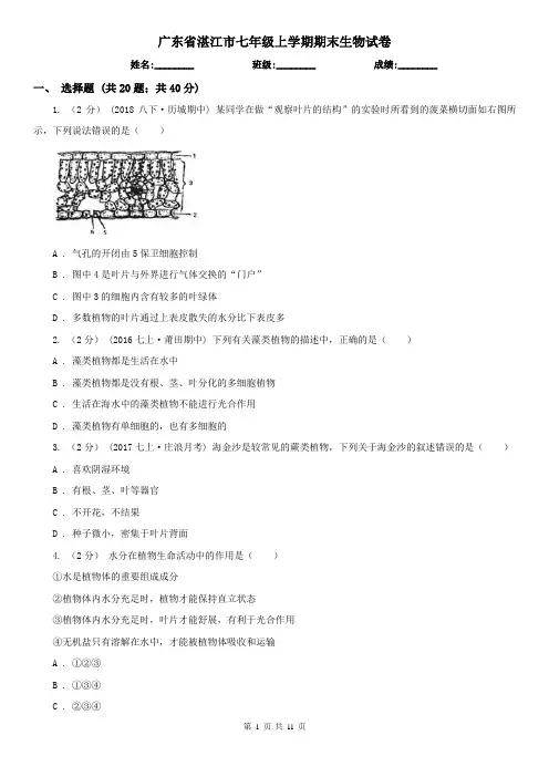 广东省湛江市七年级上学期期末生物试卷