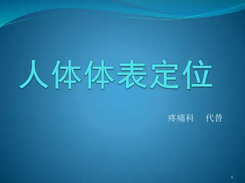 (参考课件)人体体表定位