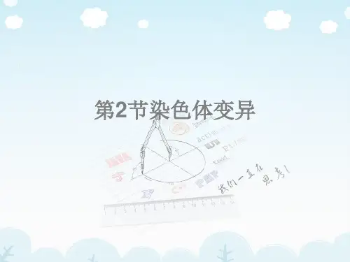 高中生物必修二第五章第2节《染色体变异》课件(