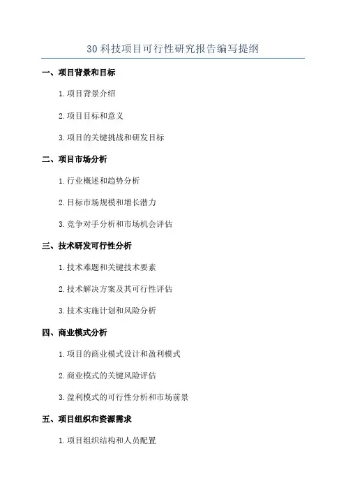 30科技项目可行性研究报告编写提纲