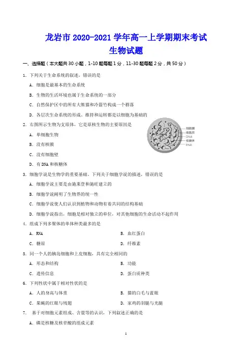 龙岩市2020-2021学年高一上学期期末考试 生物试题(含答案)