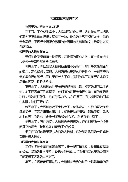 校园里的大榕树作文15篇