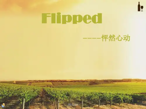 怦然心动pptPPT课件