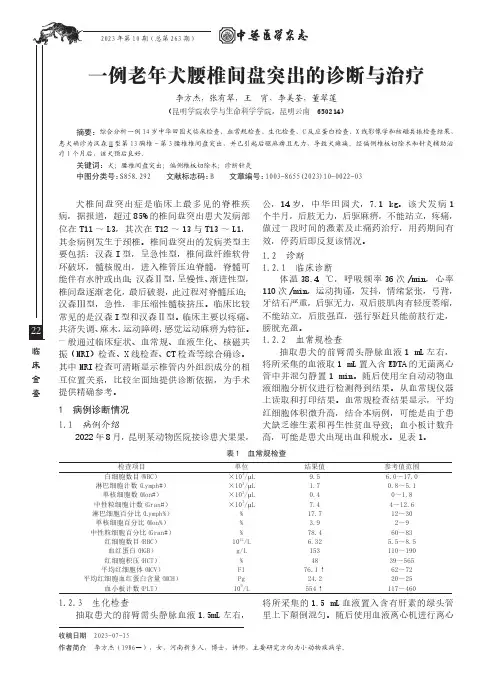 一例老年犬腰椎间盘突出的诊断与治疗