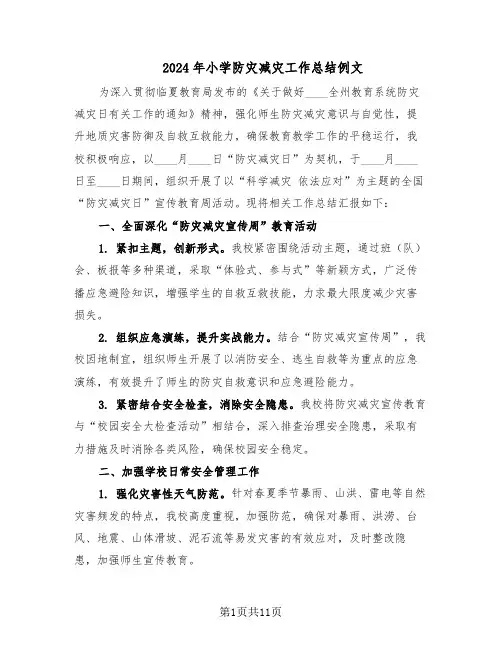 2024年小学防灾减灾工作总结例文（5篇）