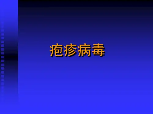 〖医学〗疱疹病毒