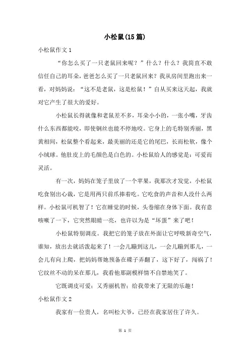 小松鼠(15篇)