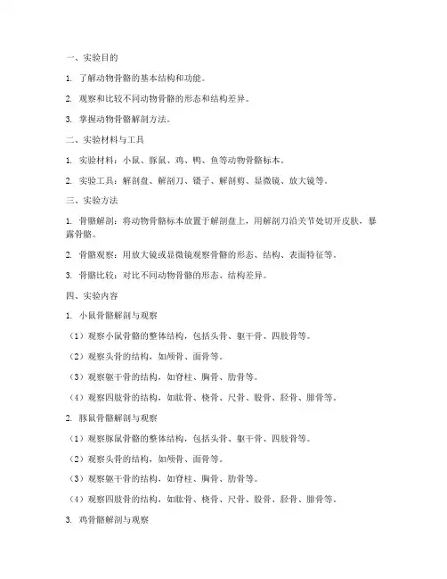 动物骨骼构造实验报告