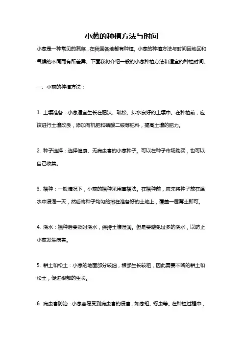小葱的种植方法与时间