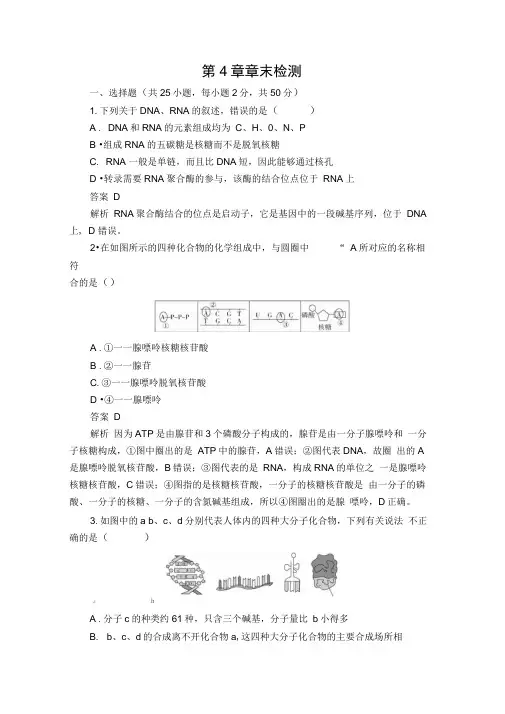 2020新教材生物人教版必修二检测：第4章基因的表达章末检测Word版含解析