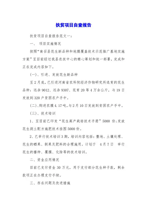 扶贫项目自查报告