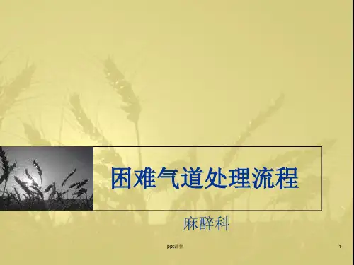 困难气道处理流程  ppt课件