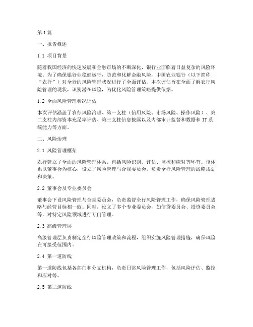 农行风险管理评估报告(3篇)