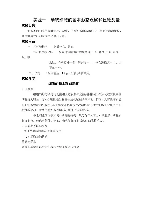 动物细胞的基本形态观察和显微测量1