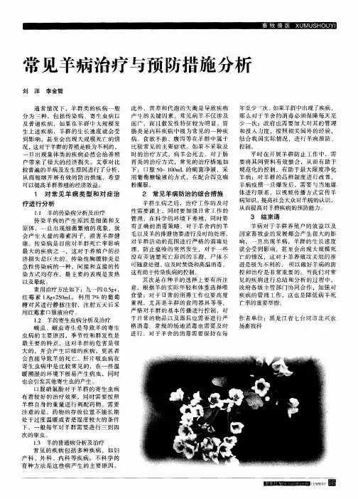 常见羊病治疗与预防措施分析