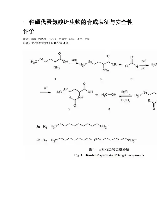 一种硒代蛋氨酸衍生物的合成表征与安全性评价