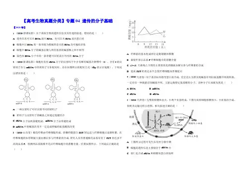 【高考生物】专题04 遗传的分子基础(含答案)