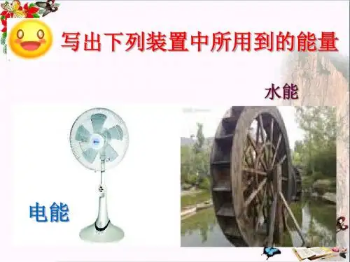 六年级科学上册第9课植物与能量 PPT精品课件5冀教版