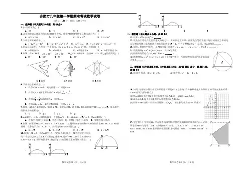 合肥市九年级第一学期期末考试数学试卷