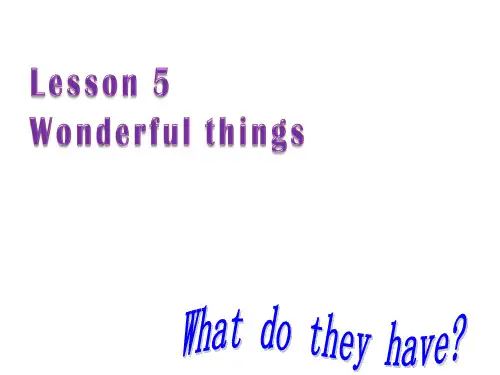 最新牛津译林版英语七年级上册《StarterLesson 5 Wonderful things》PPT课件 (2)