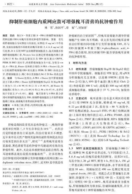 抑制肝癌细胞内质网应激可增强槐耳清膏的抗肿瘤作用