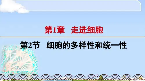 人教版高中生物必修一课件：1.2细胞的多样性和统一性(共20张PPT)