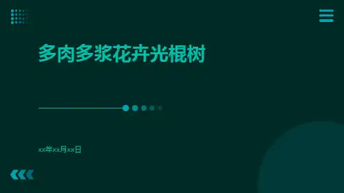 多肉多浆花卉光棍树