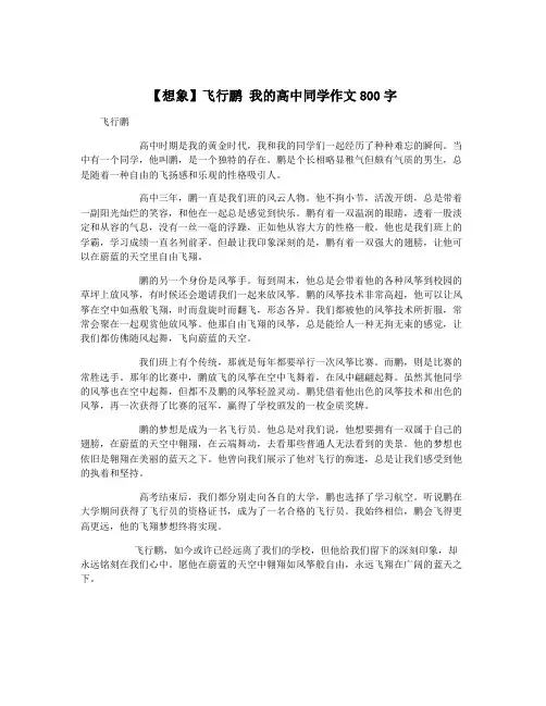 【想象】飞行鹏 我的高中同学作文800字